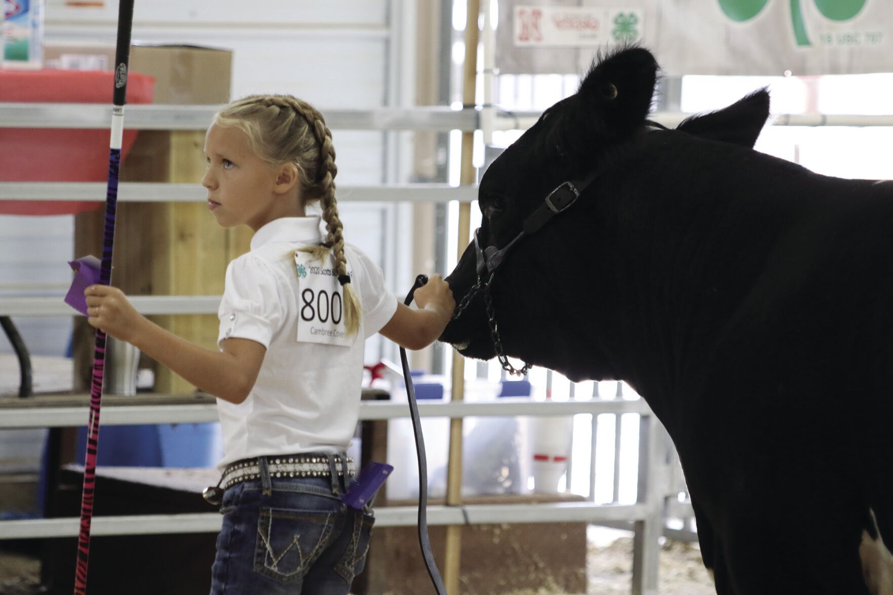 PHOTOS: Market Beef Show 2020
